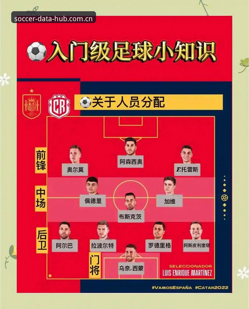 世界杯App精彩对决功能使用指南：从新手到高手的完整攻略